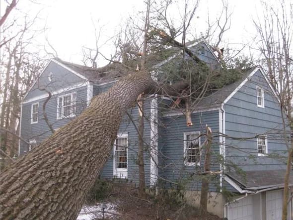 Massive fallen tree crashed into blue two-story house requiring emergency tree removal services