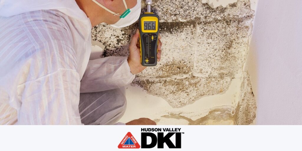 Mold Remediation in Beekman, New York (7158)