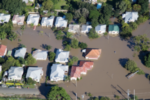 Black Water Damage