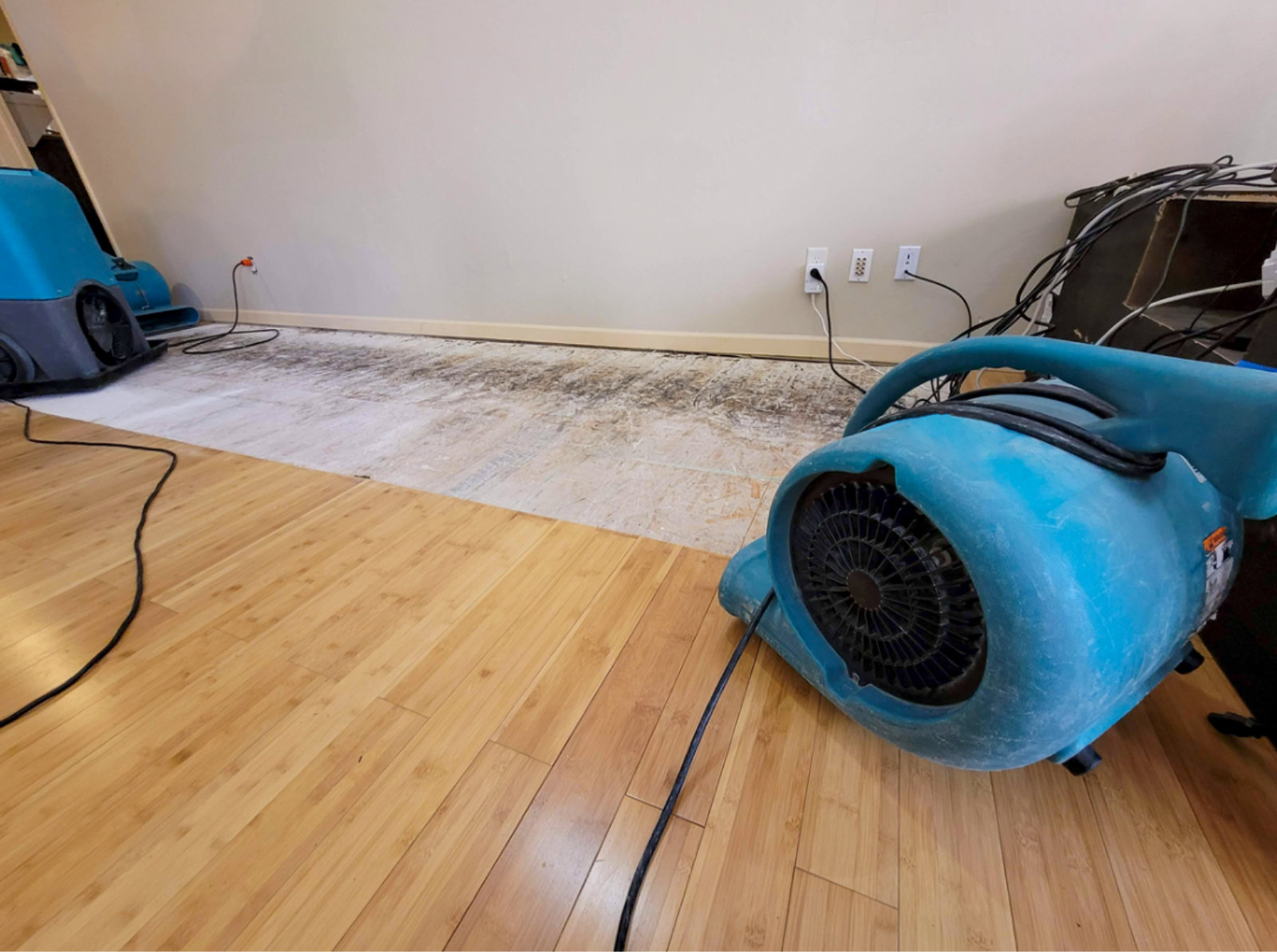 Blue industrial air mover and dehumidifier on a wooden floor, drying out a water-damaged home from a burst pipe.