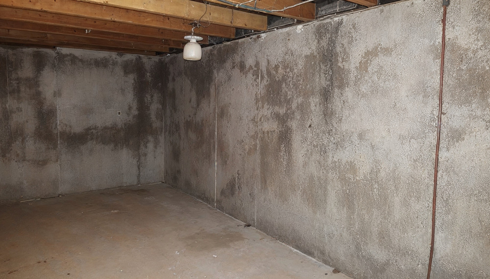 What Are the Challenges of Mold Remediation in Atlantic Highlands, Monmouth County, NJ